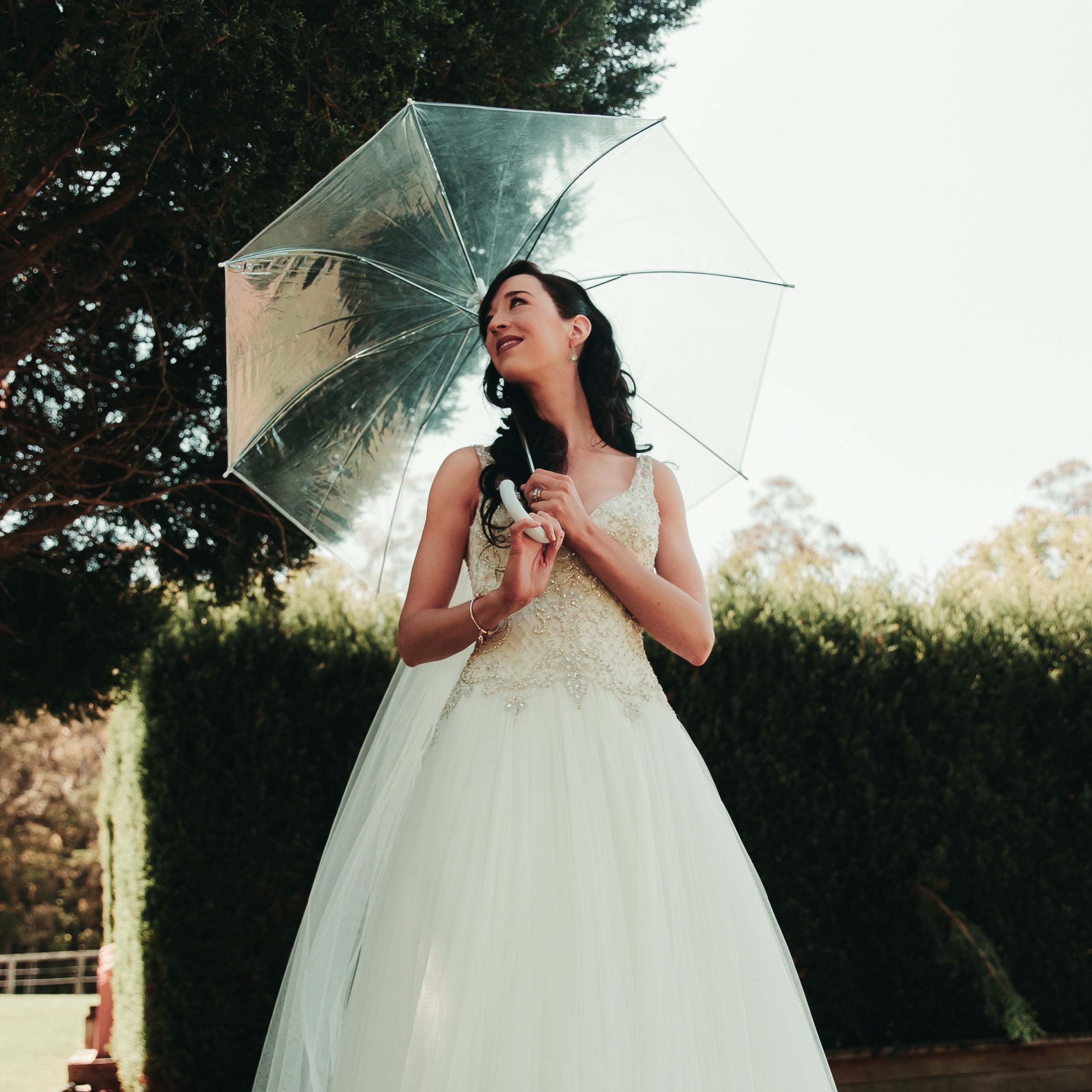 Clear Umbrellas - Pick Up – Wedding Umbrellas Australia Clear Umbrellas - Pick Up – Wedding Umbrellas Australia