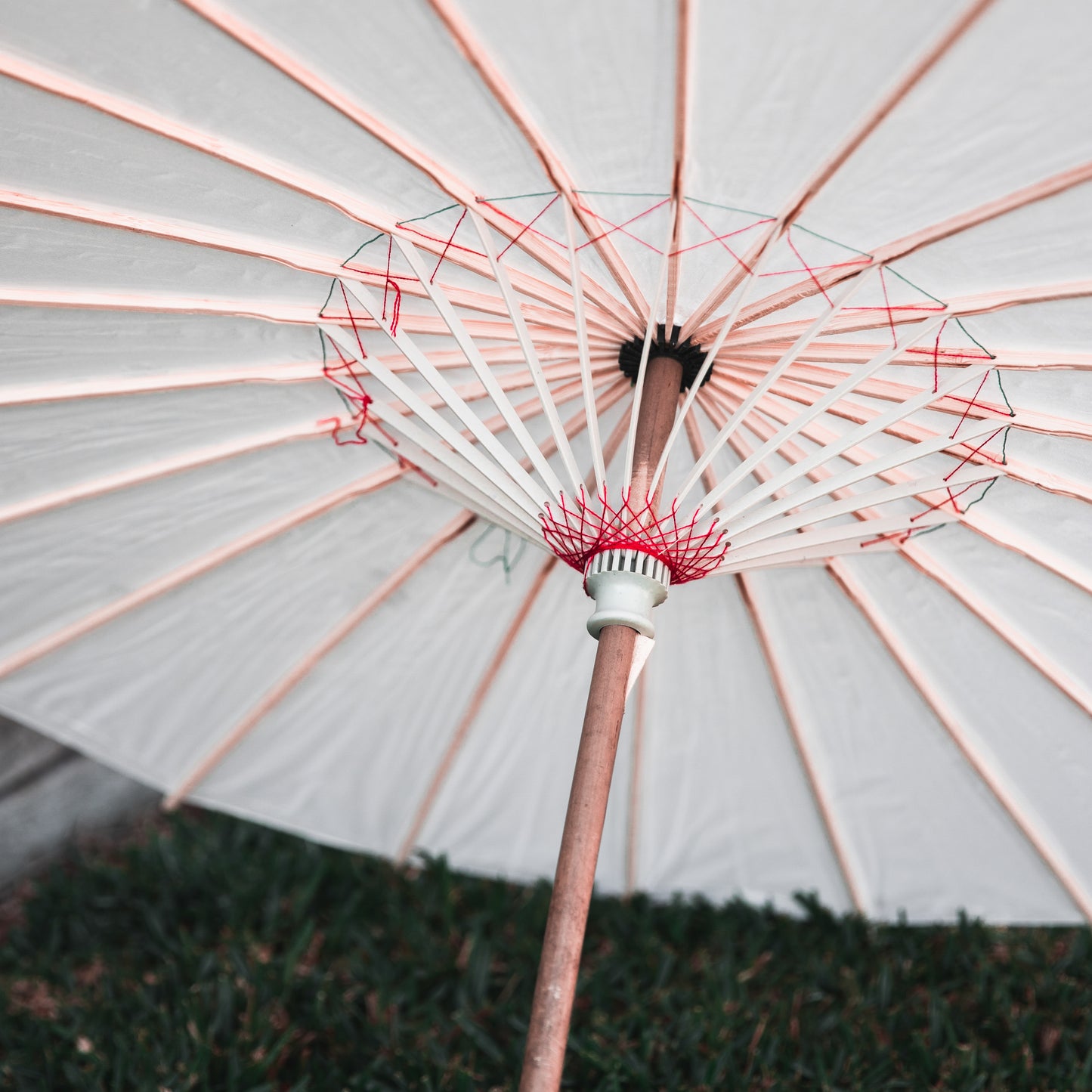 Paper Parasols - Postage