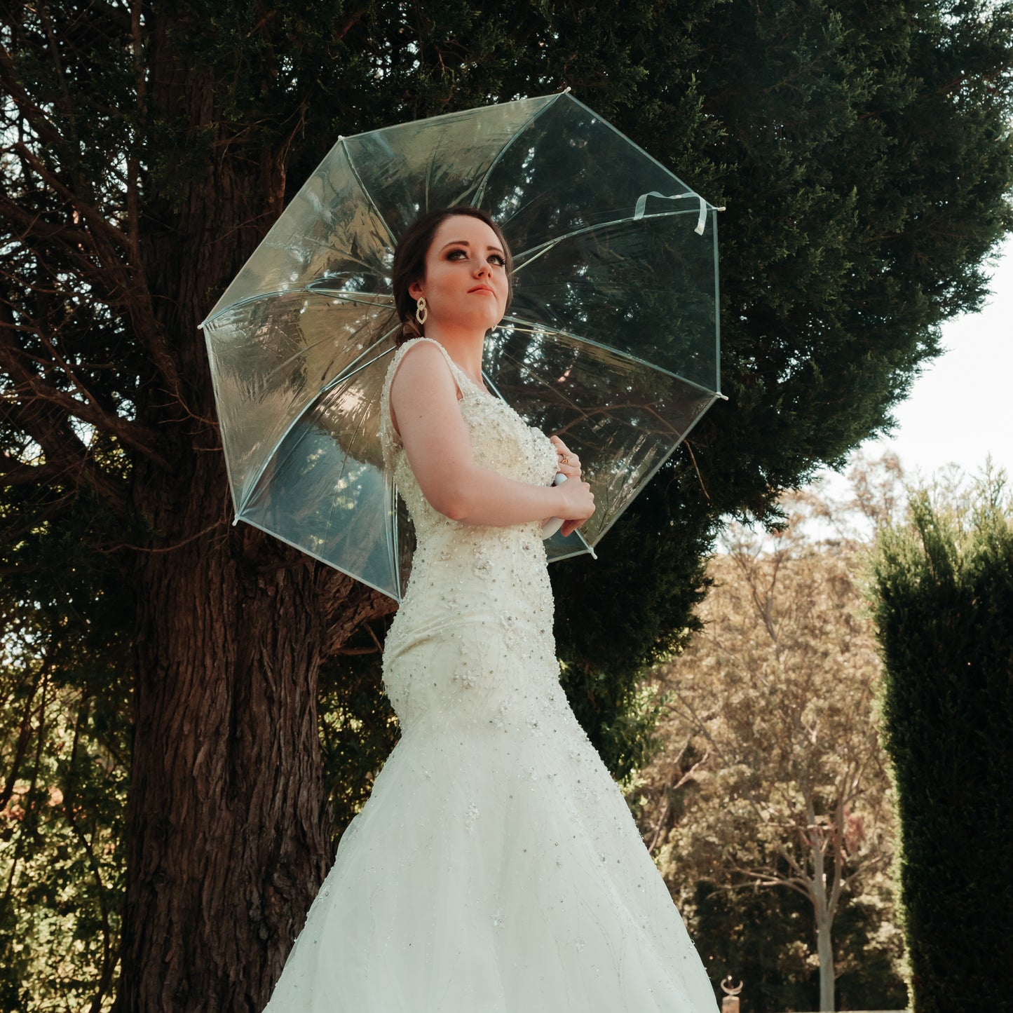 Clear Umbrellas - Delivered