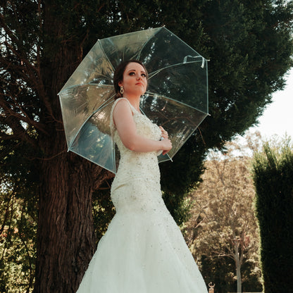 Clear Umbrellas - Delivered