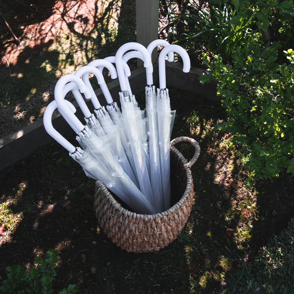 Clear Umbrellas Pick Up Wedding Umbrellas Australia