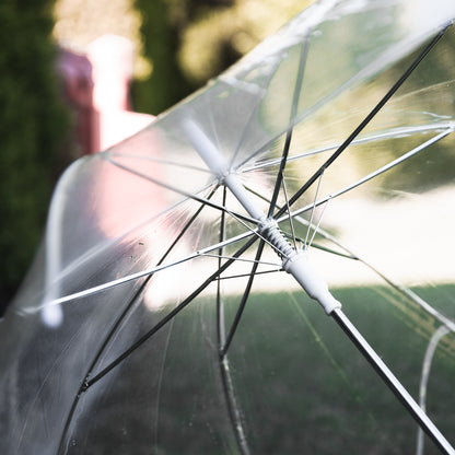 Clear Umbrellas - Delivered