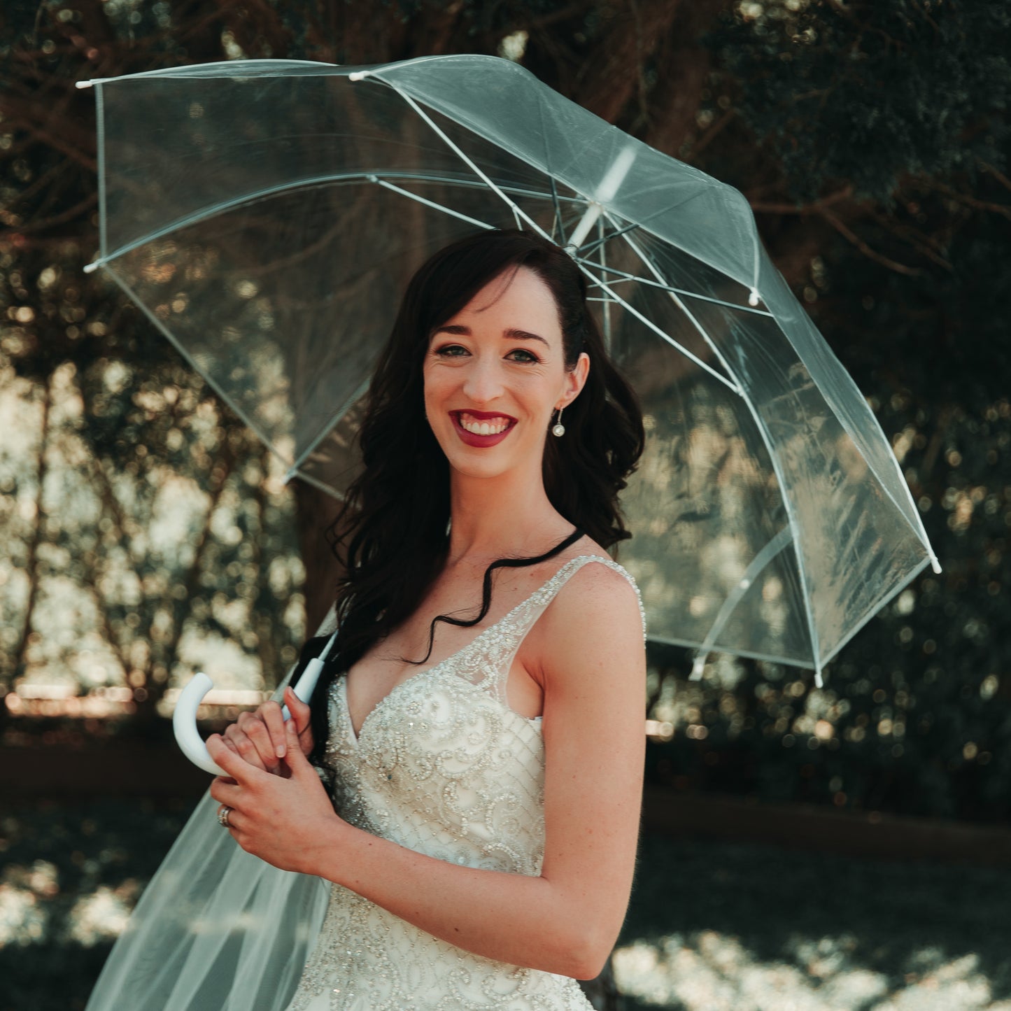 Clear Umbrellas - Delivered