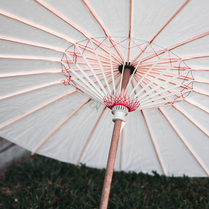 Paper Parasols - Pick Up